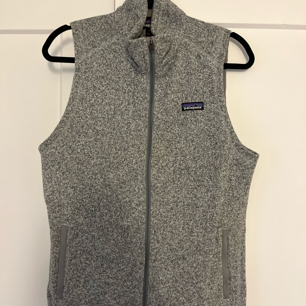 Patagonia Gray Fleece Vest